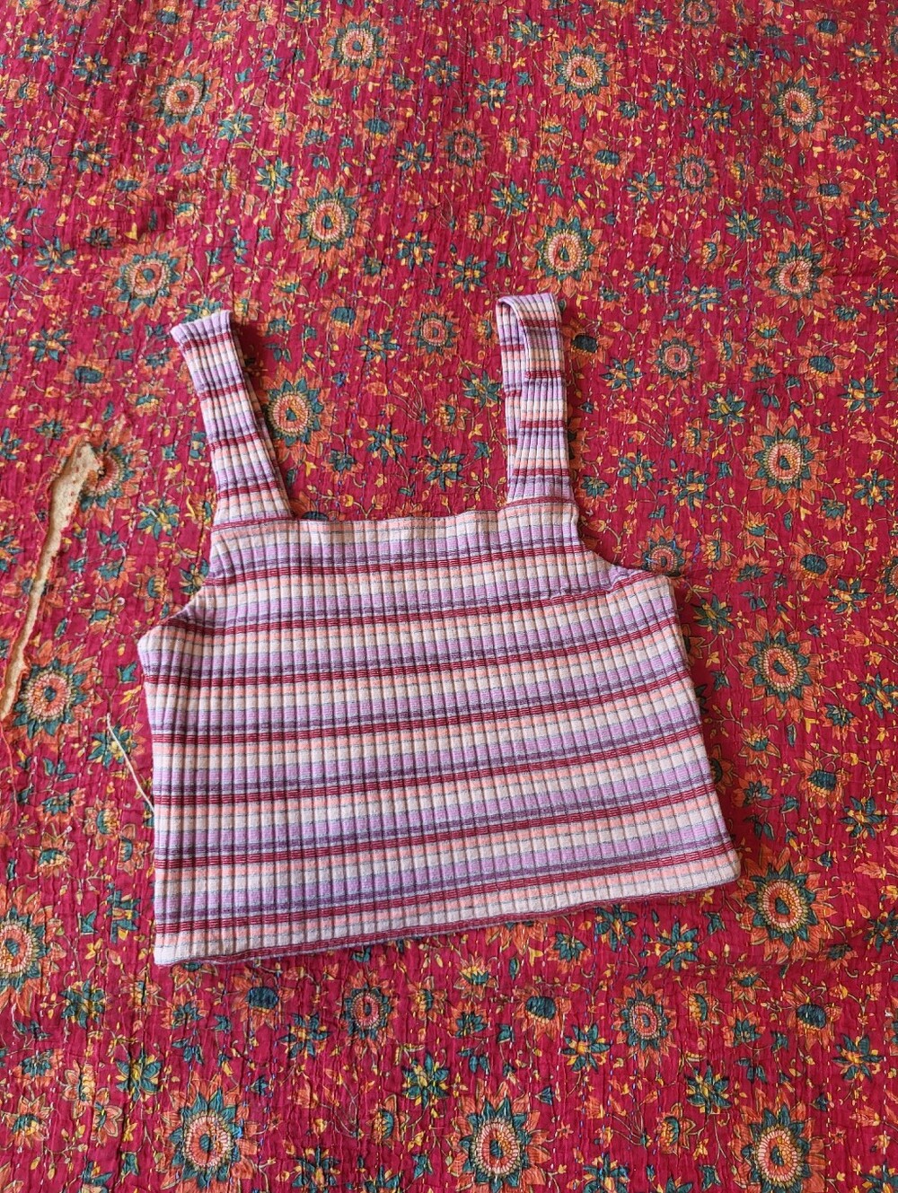 American Eagle Striped Cropped Tank